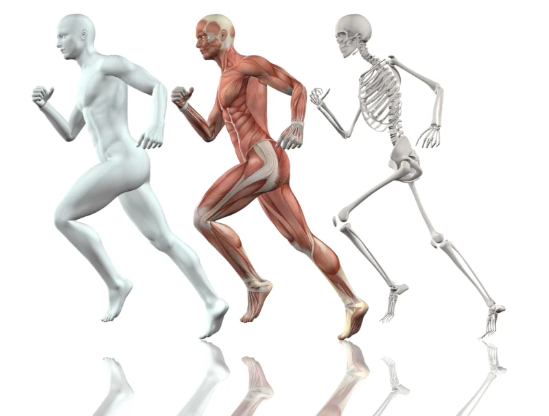 human-body-running